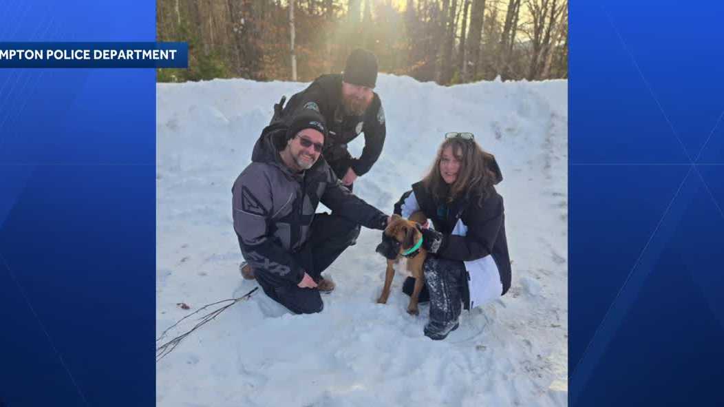 Missing dog found with assistance of drone, officials say