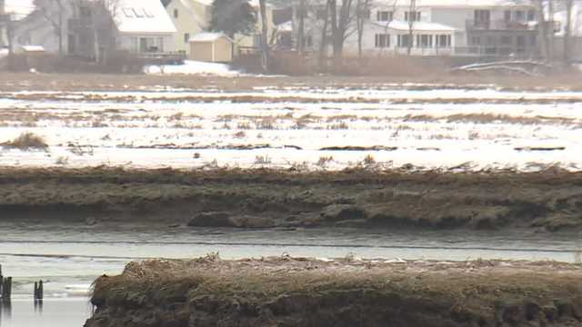 Conservationists are trying to protect Maine marshes from future storms - Vimarsana News
