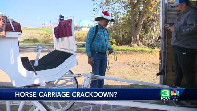 Some call for end to East Sac's horse-drawn carriages in East Sac - Vimarsana News