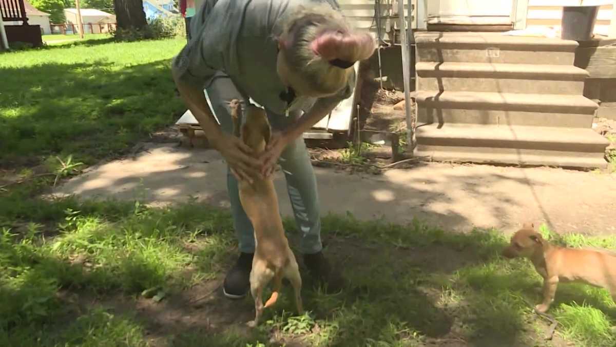 Two years after disappearing, a dog is reunited with her owners