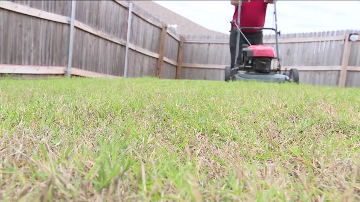 OKLAHOMA GRASS Expert explains why the grass isn't growing like usual