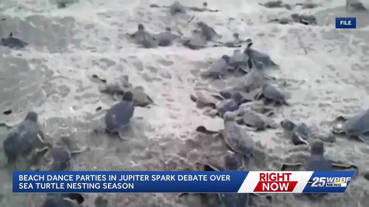 Petition calls for changes to Jupiter Beach dance event amid nesting season