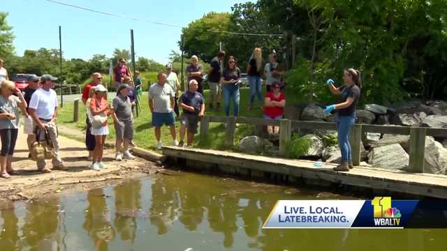 Volunteers learn how to test samples for bacteria in waterways - Vimarsana News