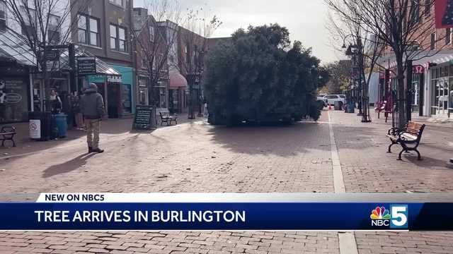 Burlington's Church Street Christmas tree has arrived - Vimarsana News