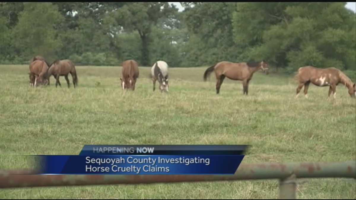 Horse trainer arrested, charged with animal cruelty