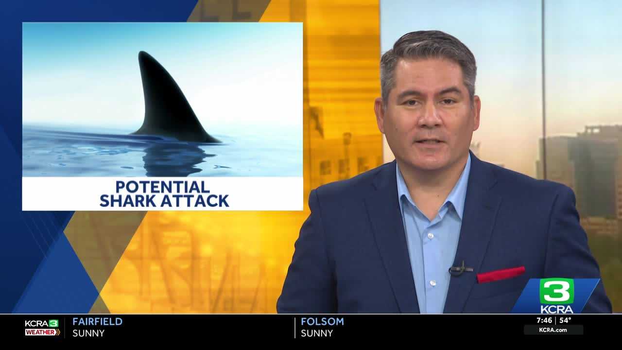 Shark attack investigation underway in Mendocino County