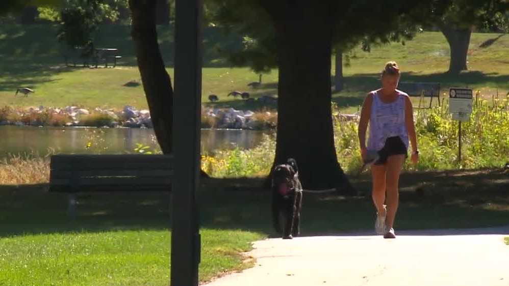 Urbandale passes first reading for dog leash ordinance