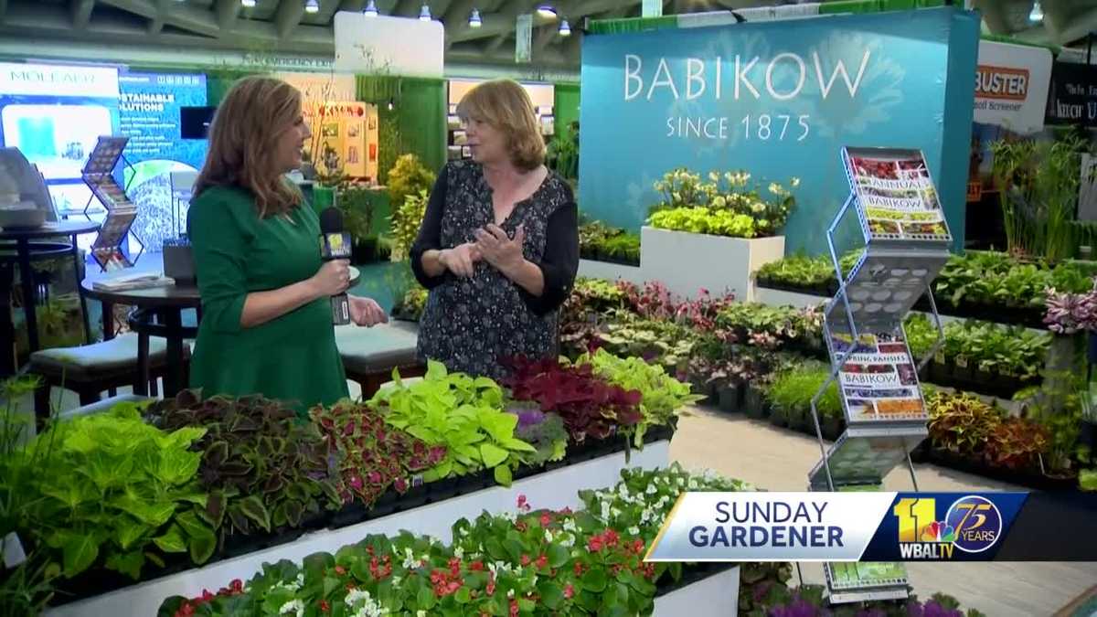 Sunday Gardener Mid Atlantic Nursery Trade Show Babikow Greenhouses