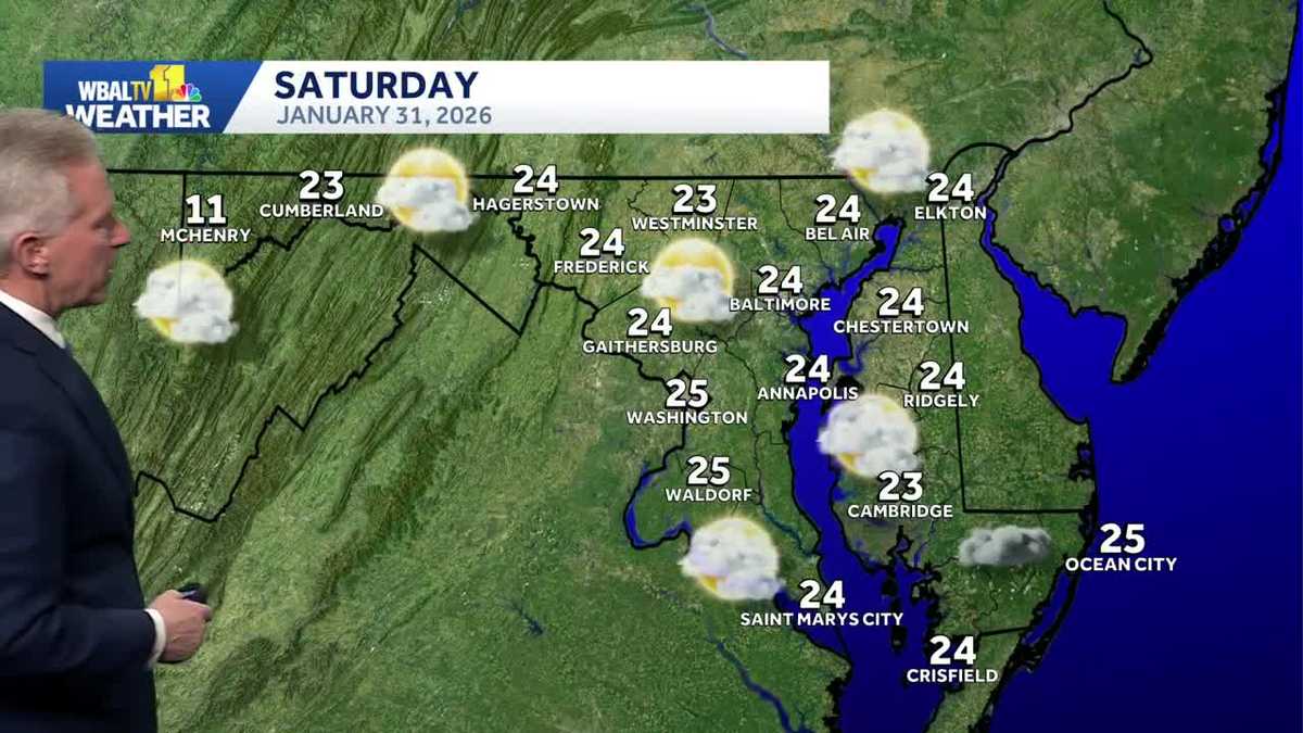 Single-digit wind chills for Maryland's Polar Bear Plunge on Saturday