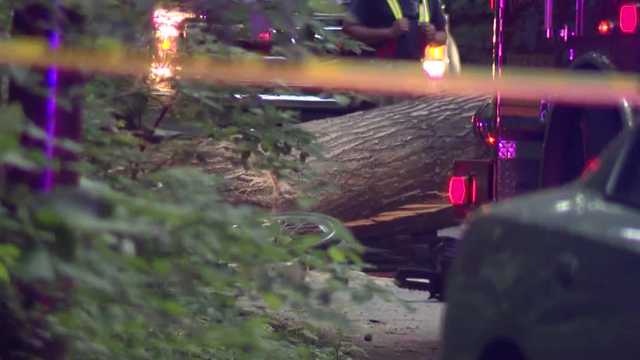 Woman recounts aftermath of tree falling, killing cyclist in Iroquois Park