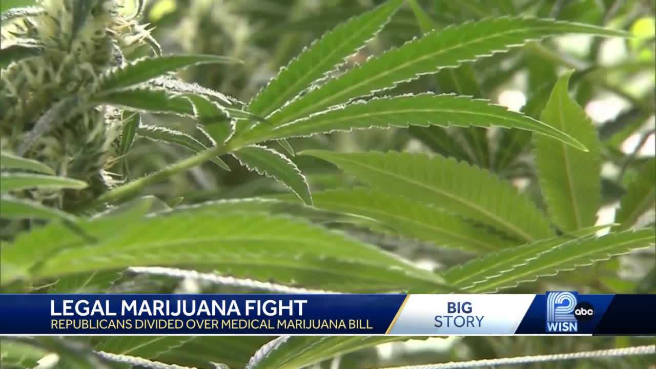 Speaker Vos says legalizing medical marijuana this year is 'unlikely