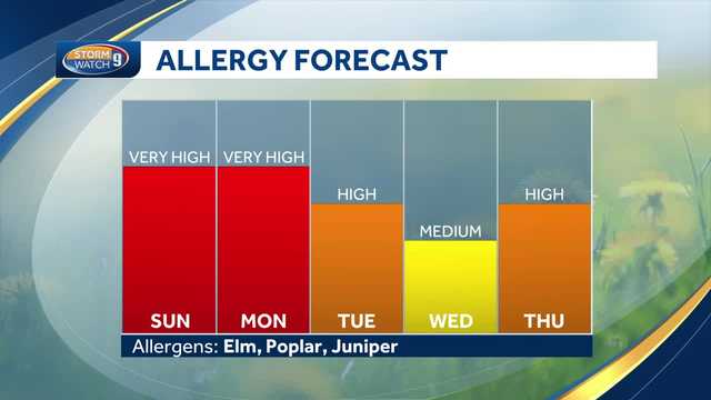 Watch: Sunny with high pollen before wet weather during the week - Vimarsana News