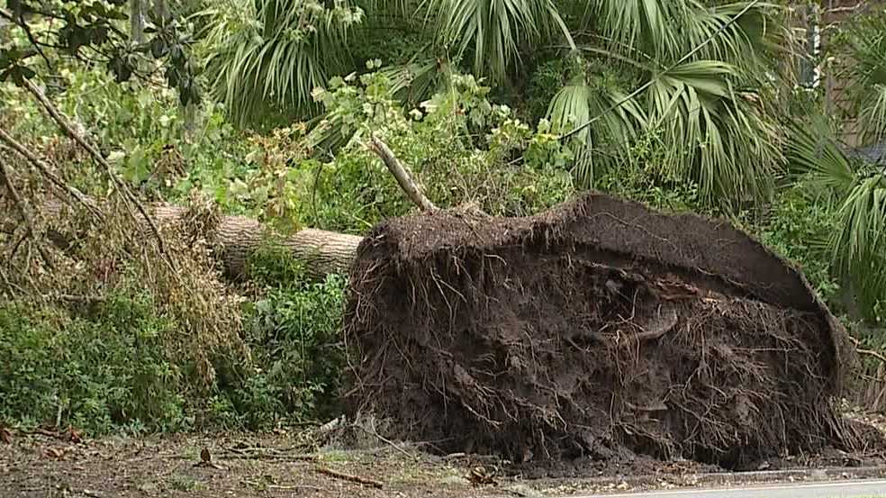 Savannah prepares for Hurricane Milton amid ongoing cleanup from Helene