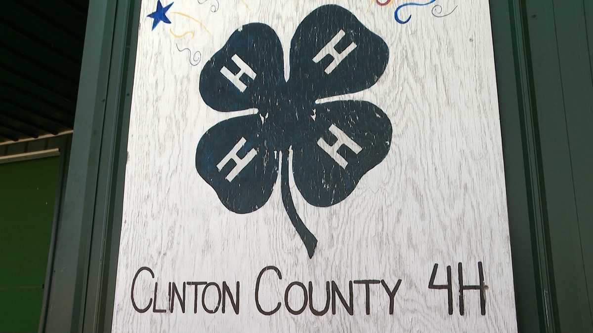 Clinton County 4H chooses to stay local instead of going to NYS Fair