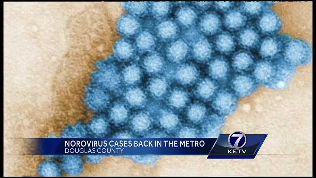 Norovirus cases back in the metro