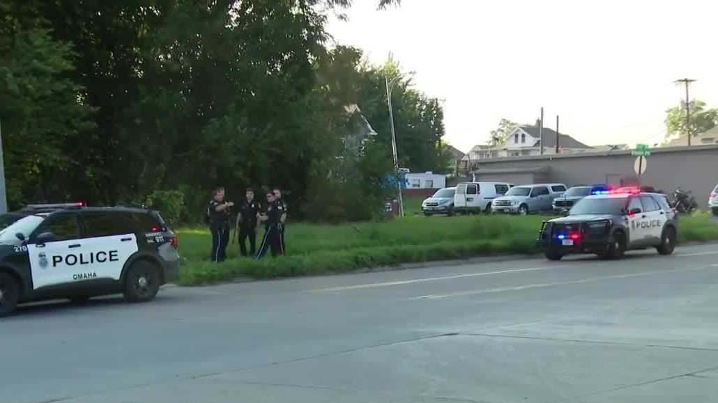 Assault News Image