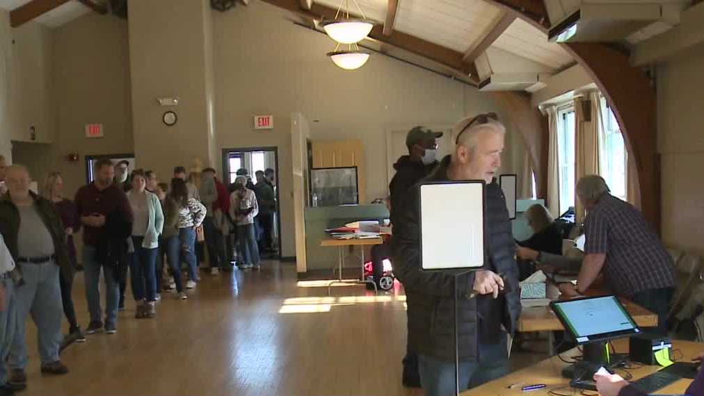 'Very long' Some Wauwatosa voters wait over an hour to cast ballots