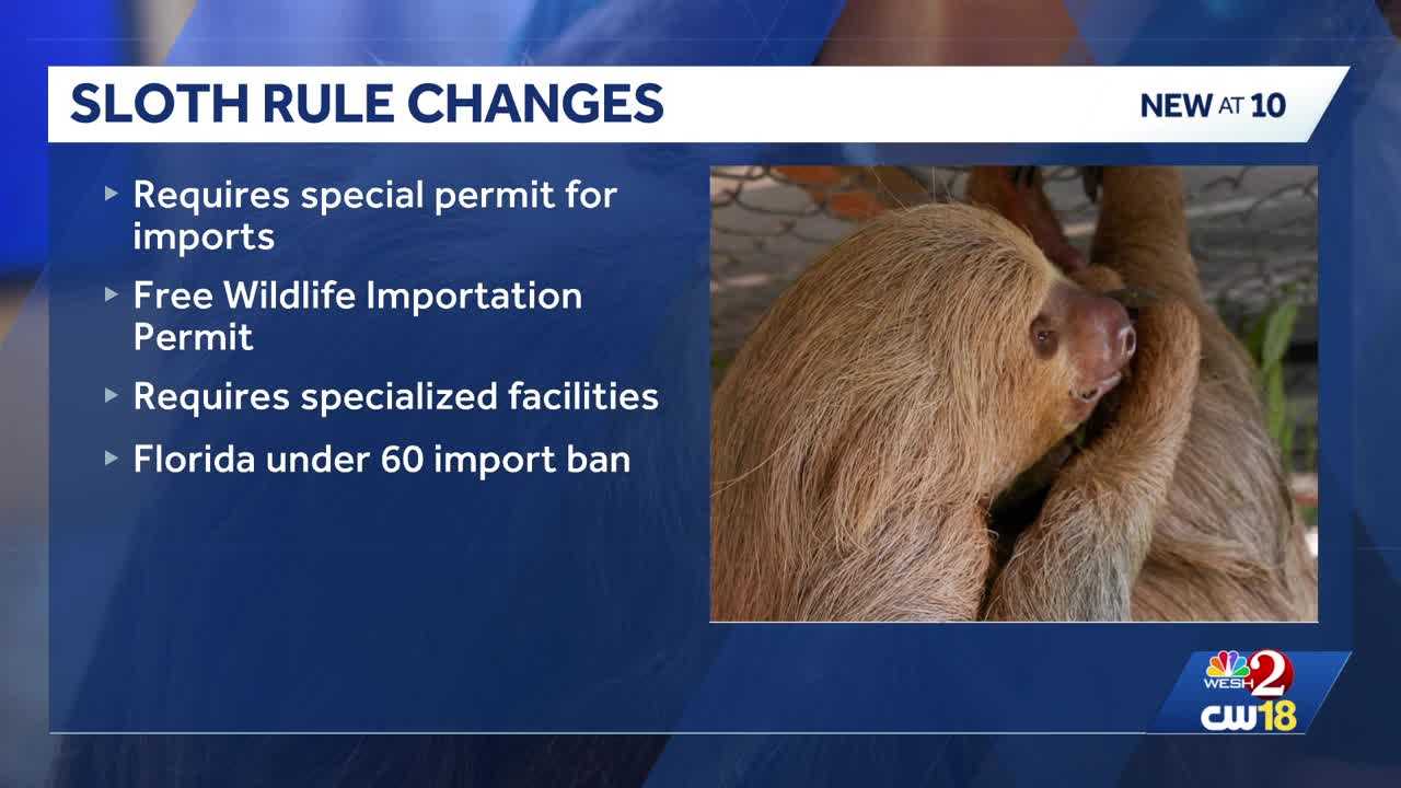 Florida updates sloth ownership rules after deaths at Orlando attraction