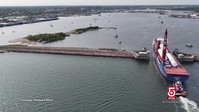The future of offshore wind - Vimarsana News