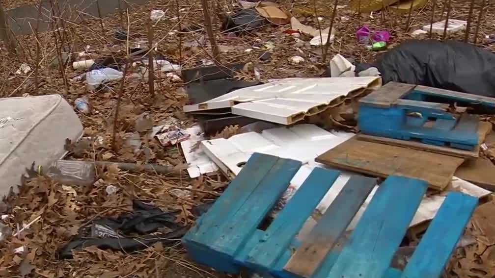 Abused dog found dead in plastic bag