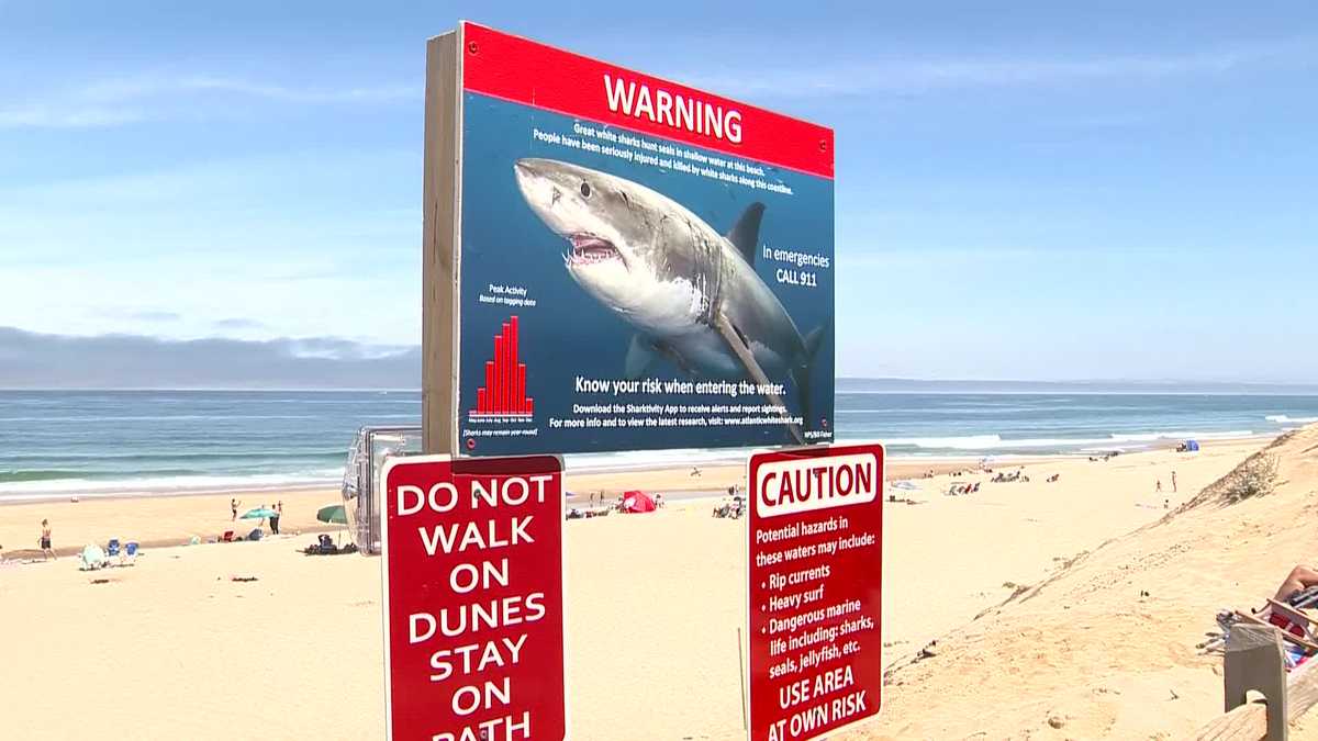 New shark warning signs, bleeding control kits added to Cape Cod beaches New shark warning signs, bleeding control kits added to Cape Cod beaches