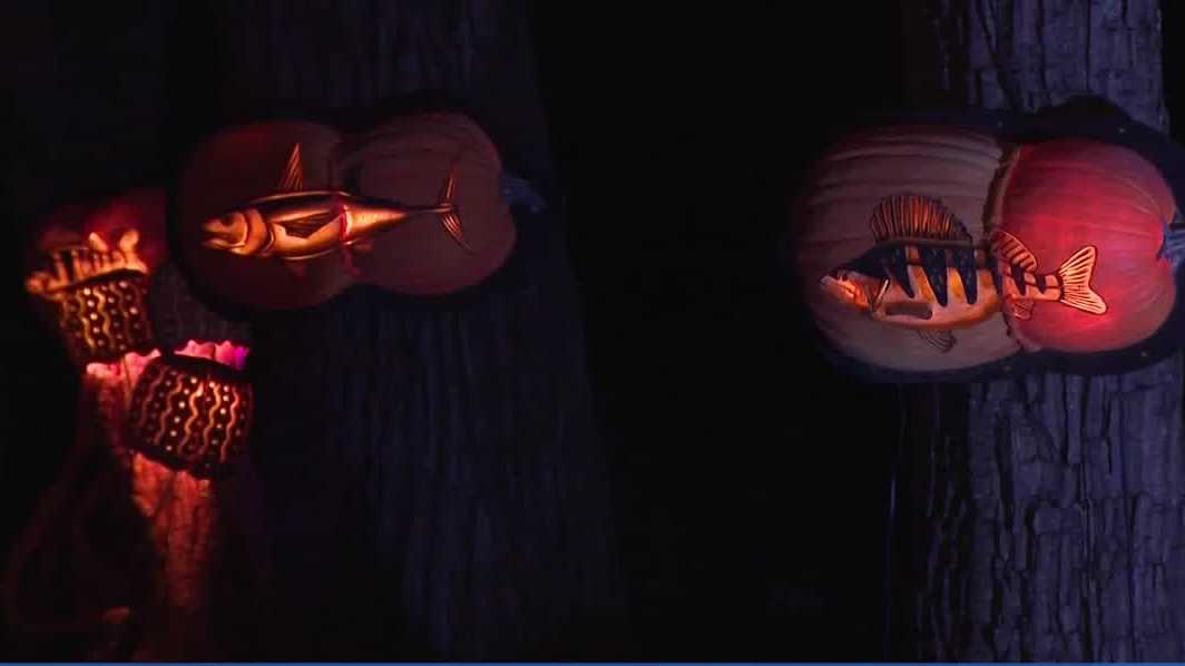 Jack’s Lantern Trail shines amid business concerns around Iroquois Park
