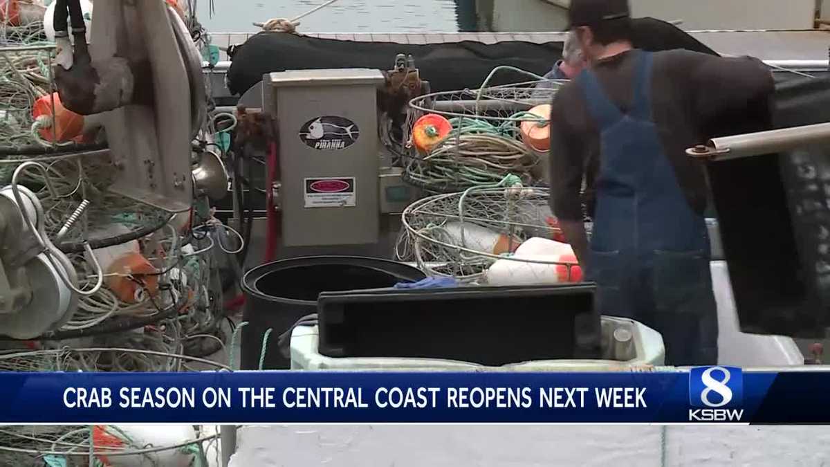 Fishermen are preparing for the start of Dungeness crab season next week