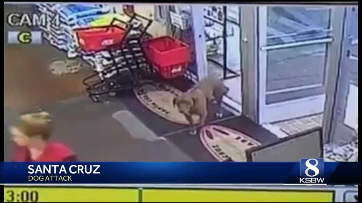 Owner of dog who brutally attacked customer at Santa Cruz Ace hardware