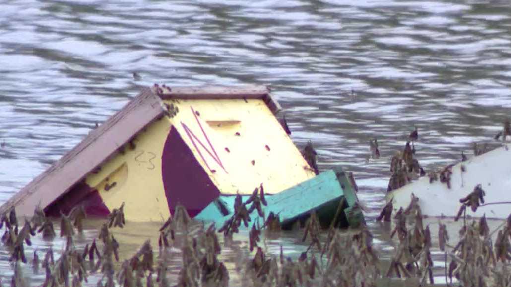 Bellevue business loses dozens of beehives to flooding