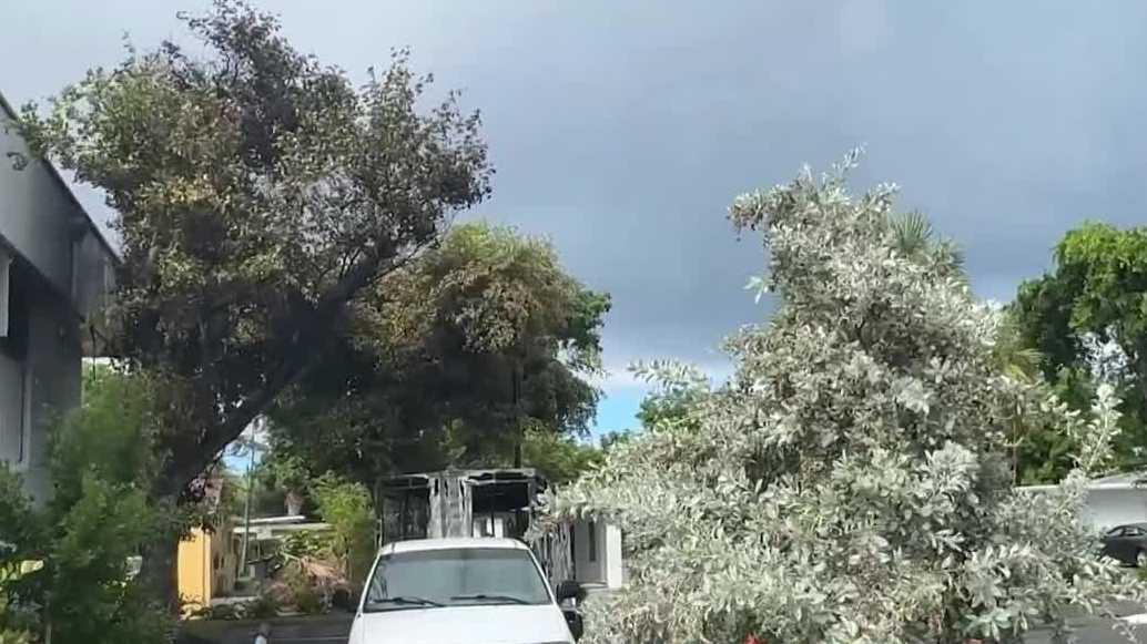 One person taken to hospital after trailer fire in Palm Beach County - WPBF