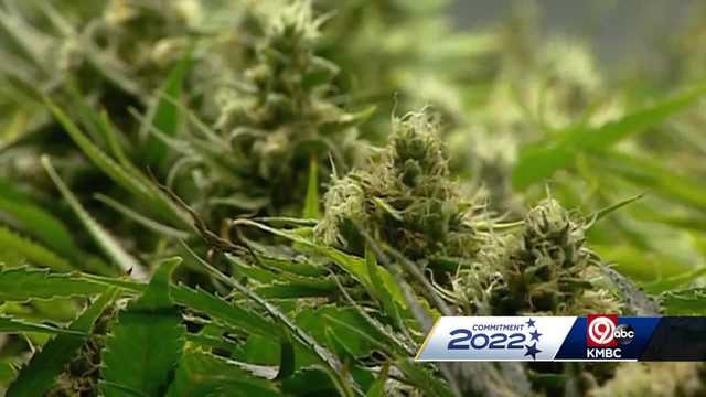 Advocates push to legalize recreational marijuana in Missouri - Vimarsana News