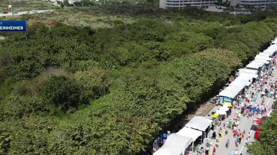 The 34th Annual Art Fest by the Sea returns to Juno Beach