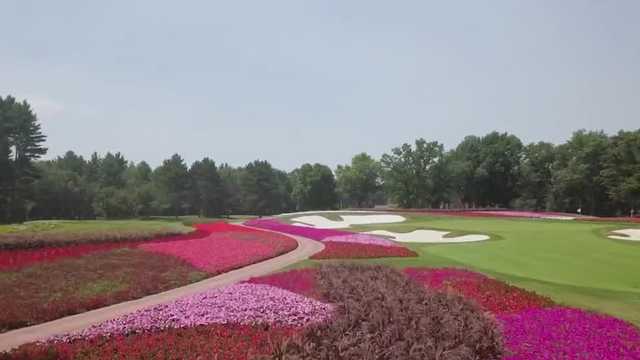 30,000 flowers will surround 16th hole at U.S. Senior Open Championship - Vimarsana News