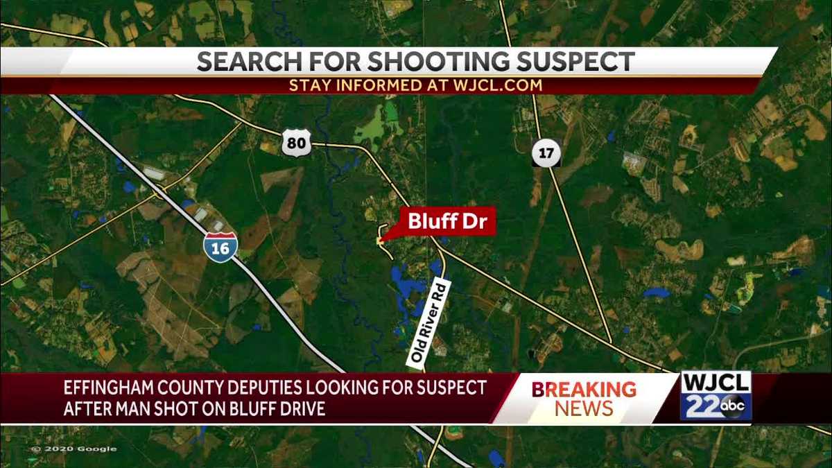 Victim fighting for his life after Effingham County shooting, gunman ...