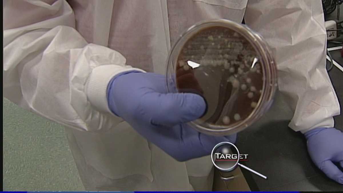 Target 7 swabs for germs in restrooms