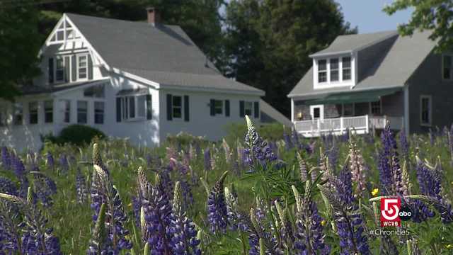 Shayna's Favorites: Mystery Main Streets and Back Roads - Vimarsana News