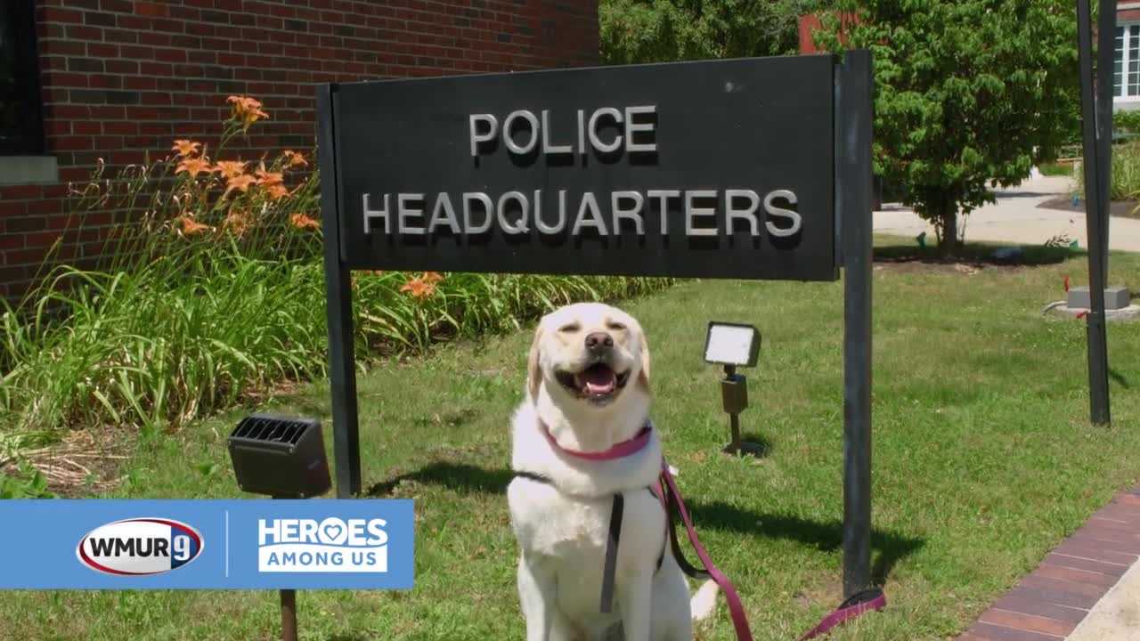 Heroes Among Us: Lenny O'Keefe and Liberty the comfort dog - Vimarsana News