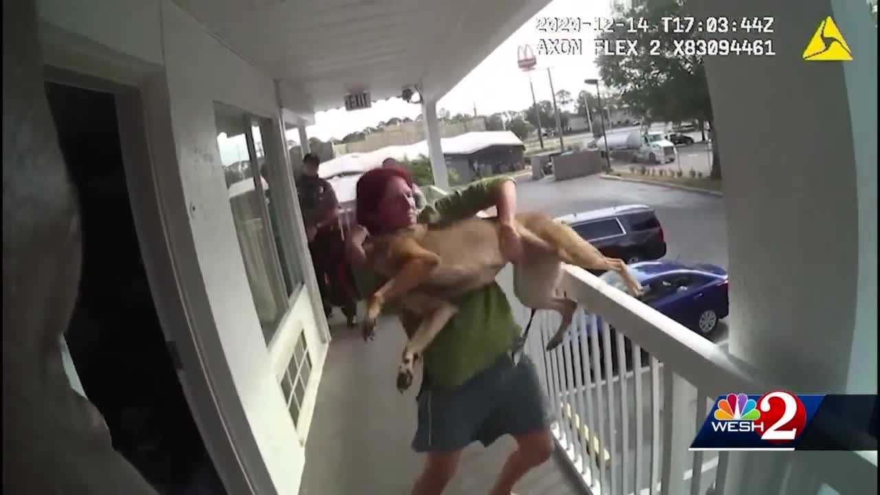 Woman throws dog from Daytona Beach motel balcony - Vimarsana News