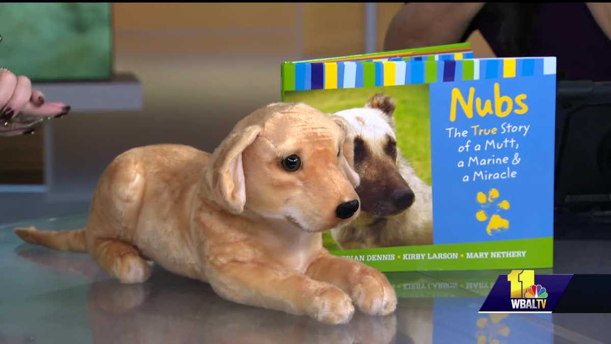 Teaching pet care at a young age from MDSPCA