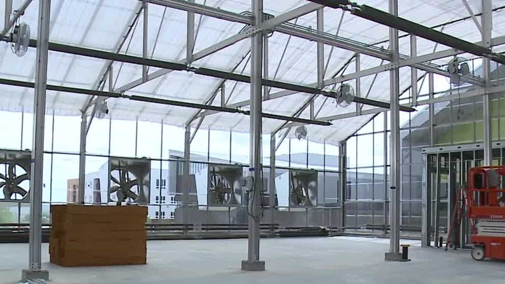 North Omaha greenhouse opening hopes to remove societal barriers