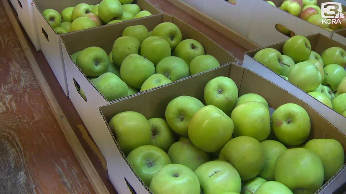 Apple Hill Growers to Labor Day weekend visitors