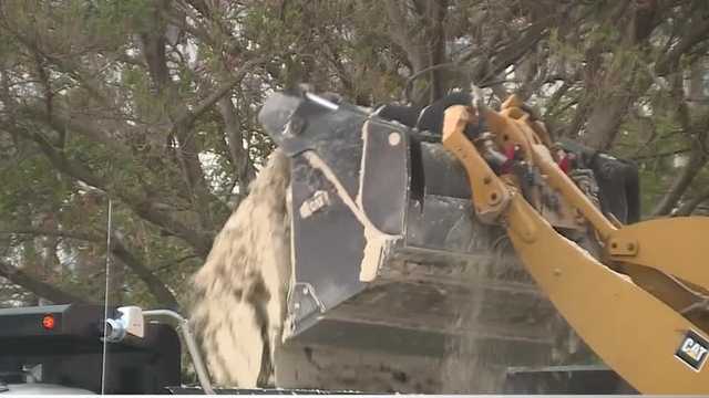 Dump trucks begin dismantling 700 ton Sandi Tree sculpture in West Palm Beach - Vimarsana News