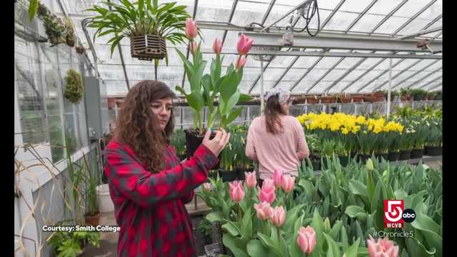 Northampton, Mass. boasts good eats and nature-based experiences - Vimarsana News