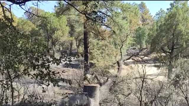 Rico Fire crews put out smoldering areas - Vimarsana News