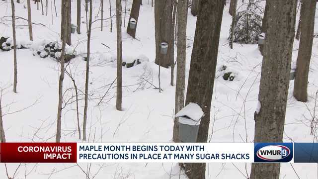 Maple Month begins: NH sugar houses open with COVID guidelines - Vimarsana News