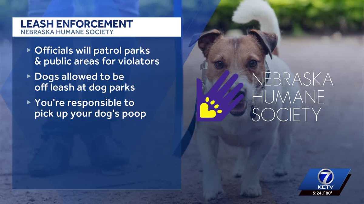 Off-leash dogs can bring fines as Nebraska Humane Society steps up patrols