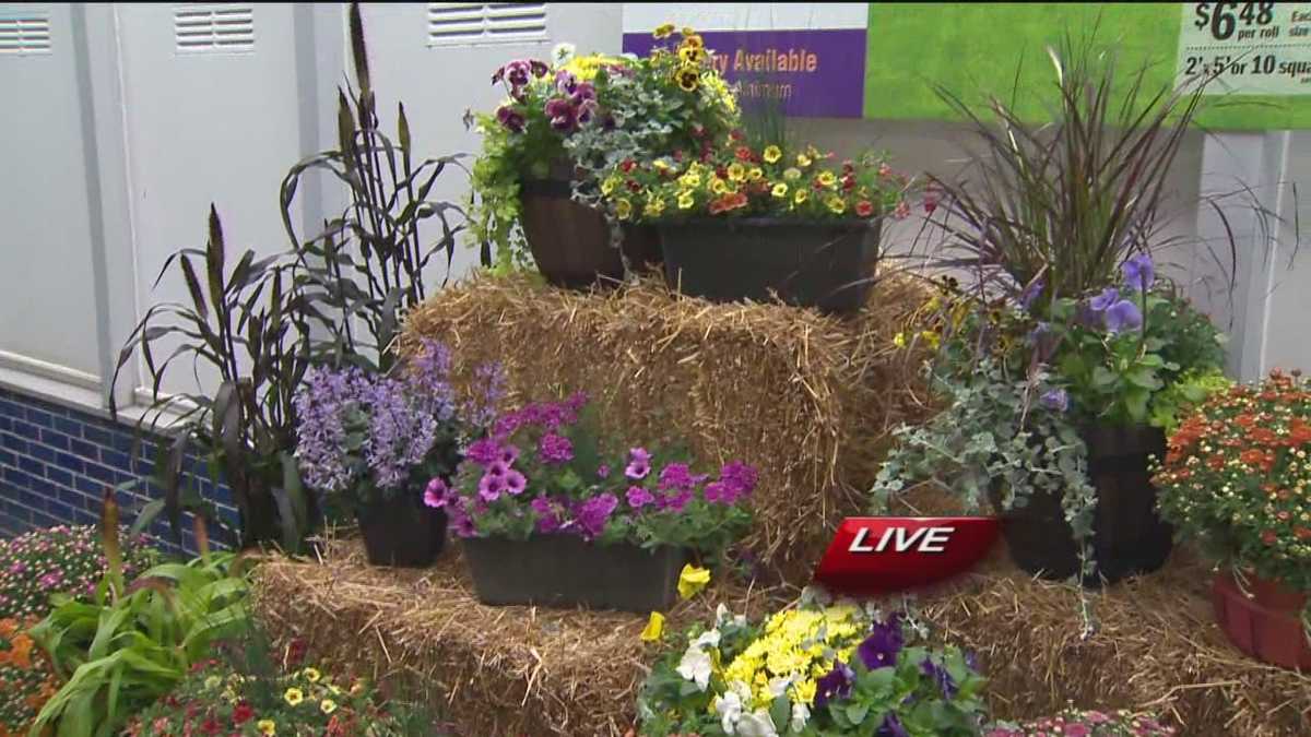 Fall Planting