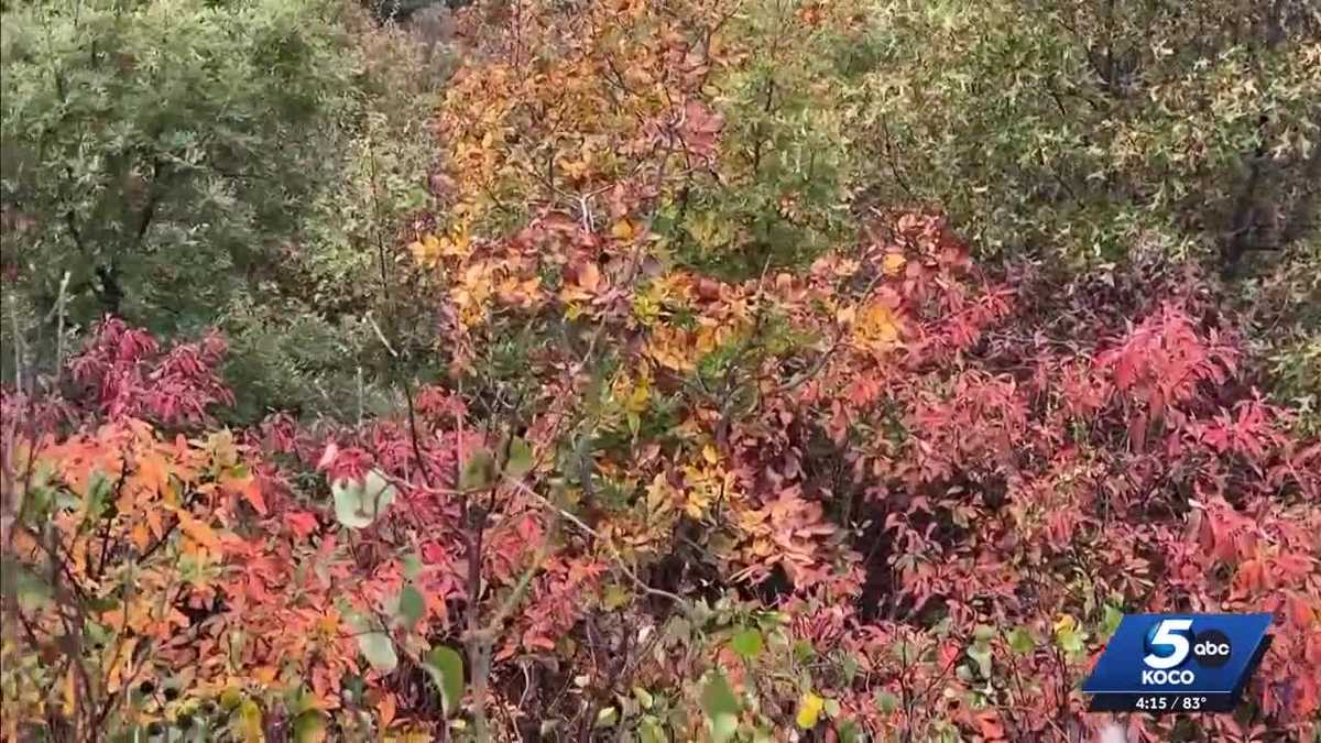 Oklahoma fall foliage map: Best places to see leaves change color - KOCO