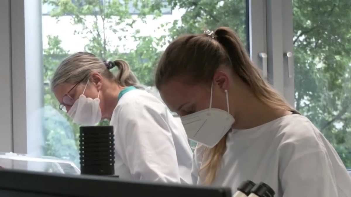 Monkeypox cases on the rise in the United States