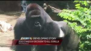 Cincinnati Zoo Stands By Decision To Shoot Kill Gorilla